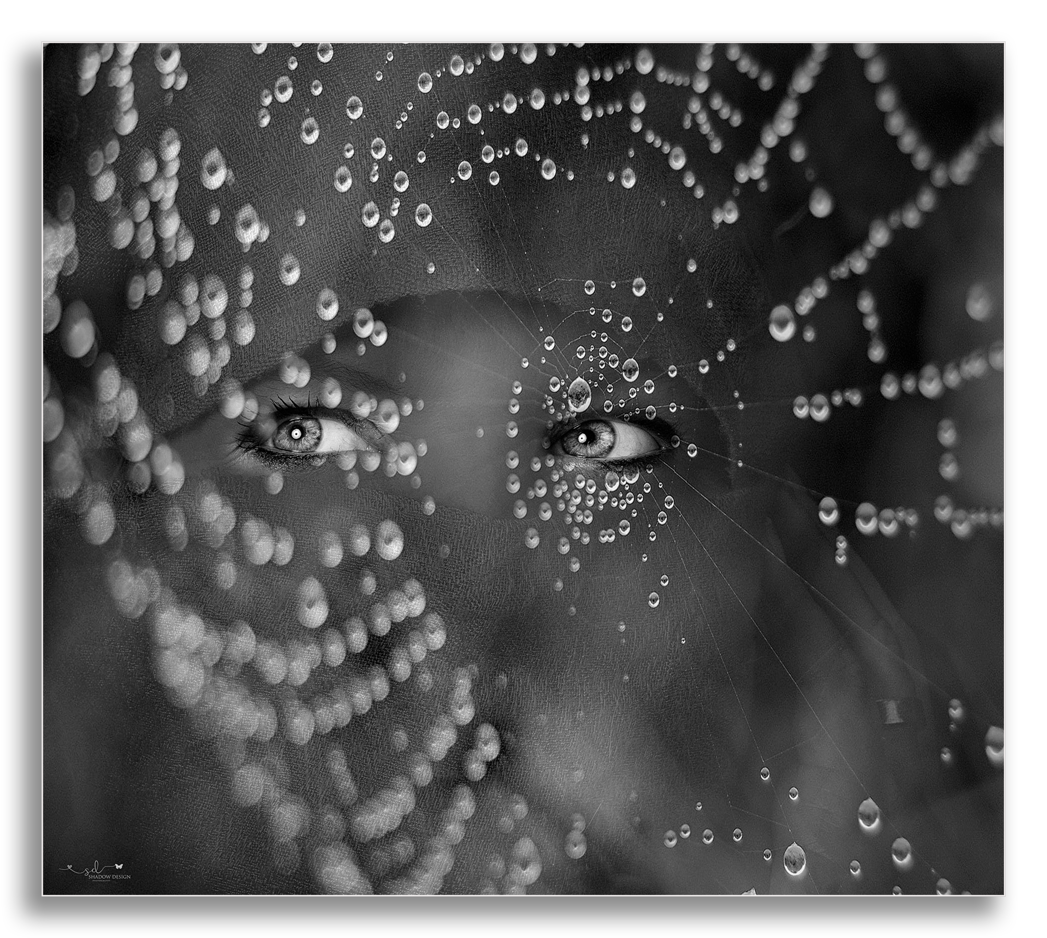 Fb  MG 7945bea3 Bearbeitet   Kopie